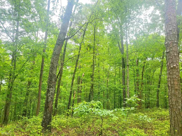 524 Knox Campground Trl, Canton, GA 30114