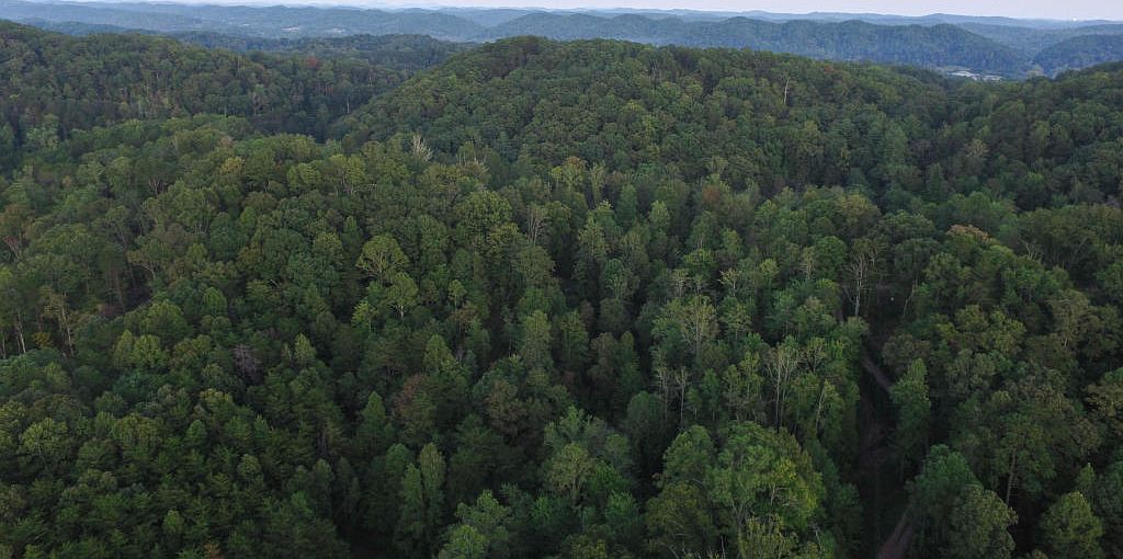 157 Foust Hollow Rd, Heiskell, TN 37754 Zillow