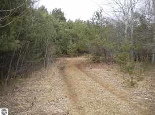 2981 Twin Lake Rd, Lupton, MI 48635