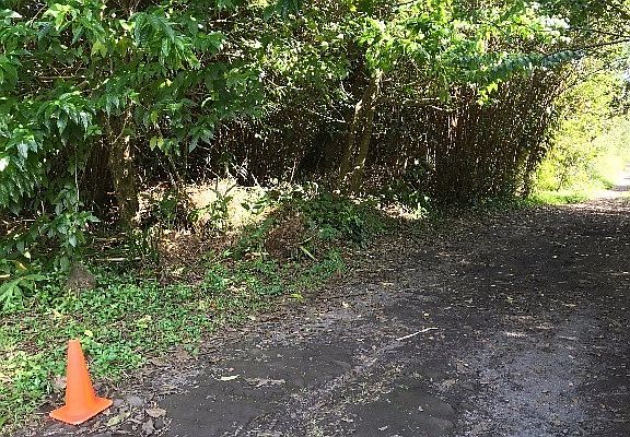 5th image of Road 10 Poouli Lot 5798