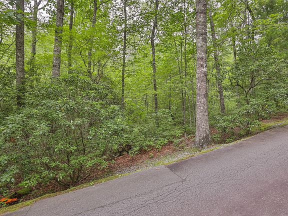 4th image of Lot 1B Streamside Drive