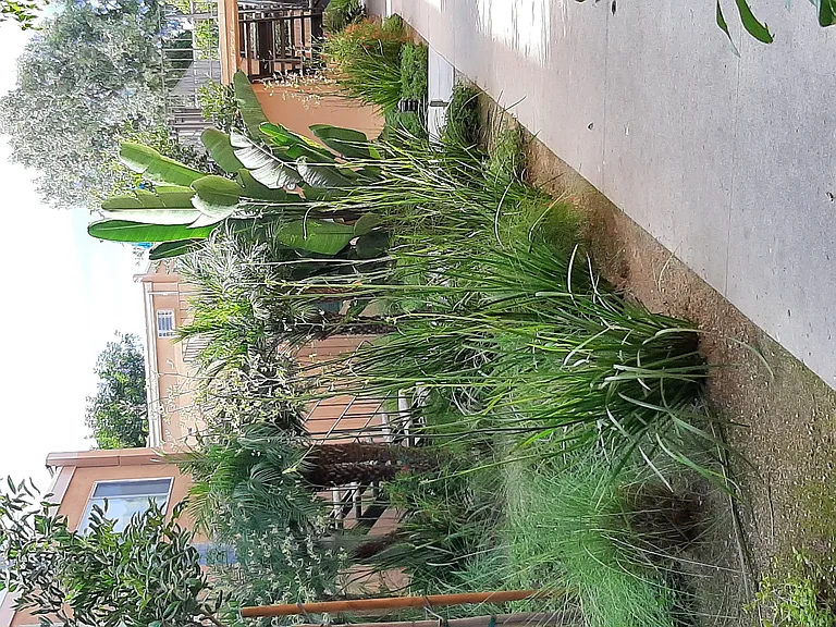 Ponderosa Apartments — Photo 18