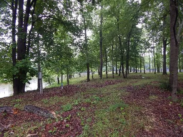Bobs Lake Ln, Bath Springs, TN 38311