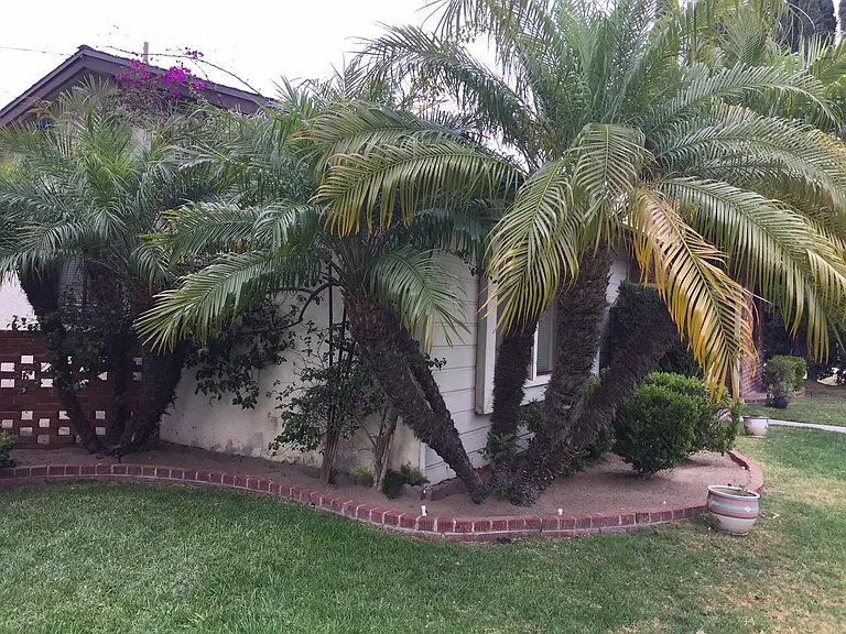 6361 San Marino Cir — Photo 10