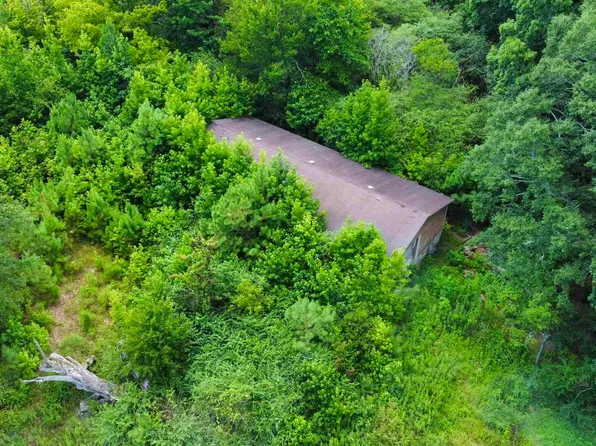 471 Tanyard Rd, Altoona, AL 35952