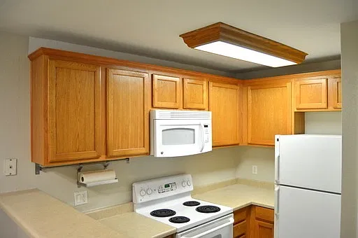 1 bed, 750 sqft, $1,250 — Photo 4