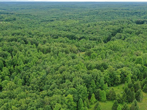 5th image of 0 Coon Creek Rd