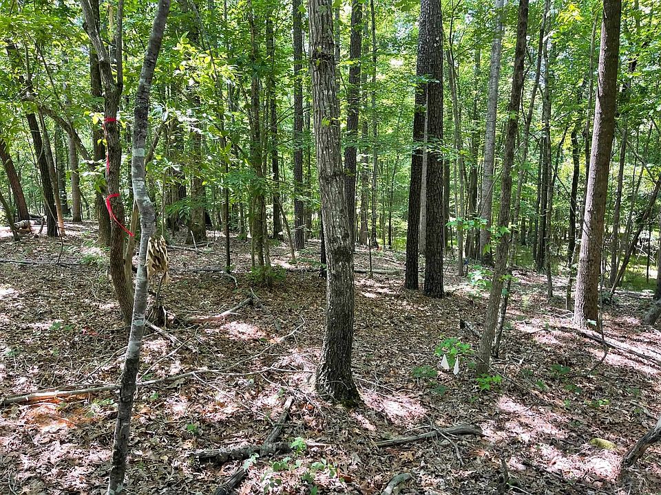 2nd image of LOT A Arthur Minnis Rd Lot A