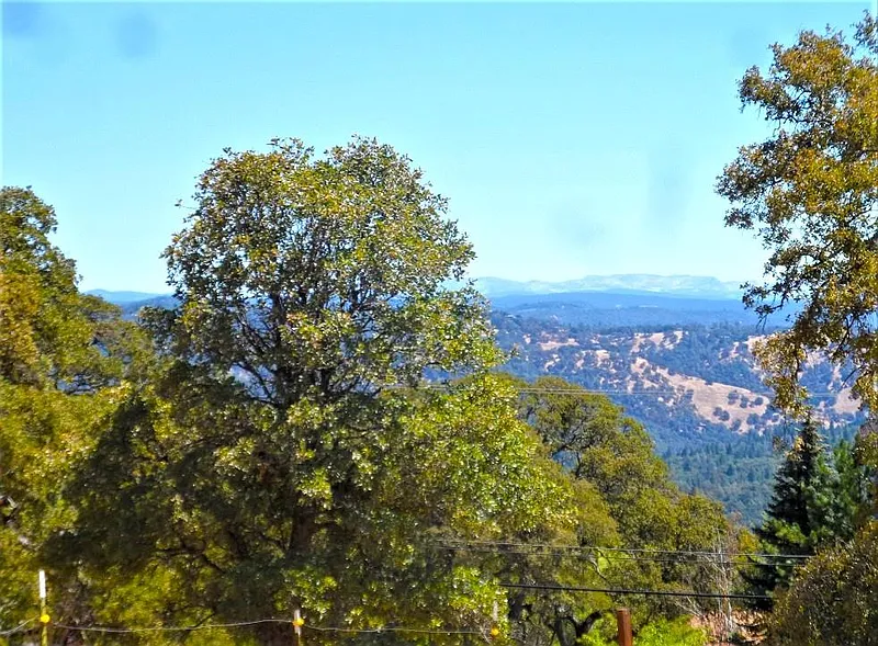 Thumbnail 15
