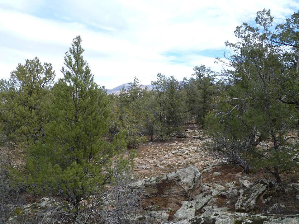 2nd image of Rock Garden Lane Lot 78