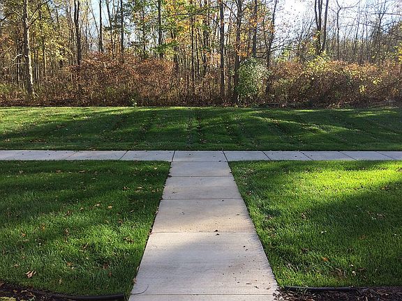 View out the front door