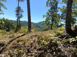 Longhunter Lots #62, Sevierville, TN 37862