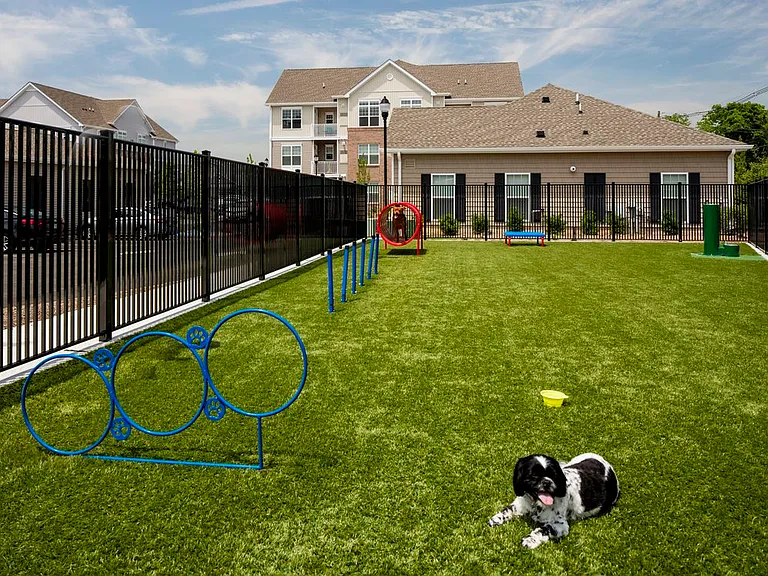 WAG Pet Park