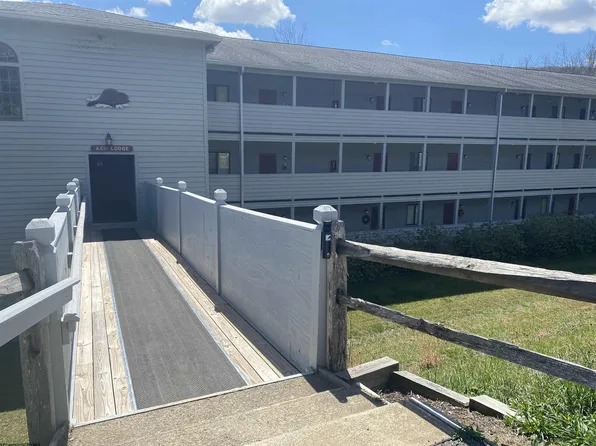 31 Ash Lodge Ct #107, Davis, WV 26260