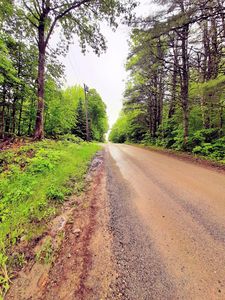 Lot # 17-9 North Road, Lee, ME, 04455