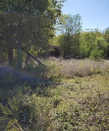 3rd image of 10789 E Fm 1518 N