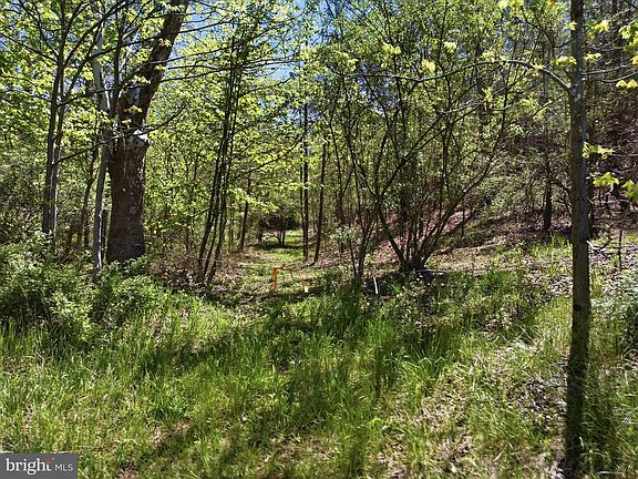 5th image of Off Virginia Line Rd