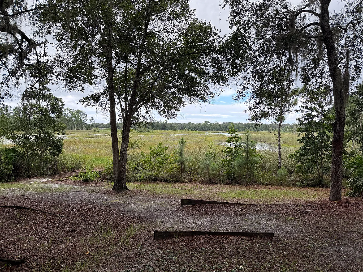 2 bed, 1344 sqft, $1,450 — Photo 3
