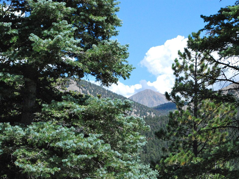 1st image of Cougar Ridge 100 101 #102