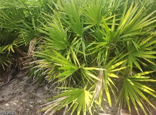 544 Wabasso Ave S, Lehigh Acres, FL 33974