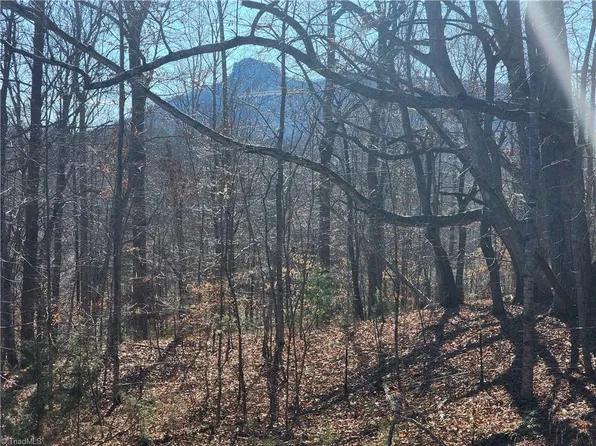 0 Golf Course Rd, Pilot Mountain, NC 27041
