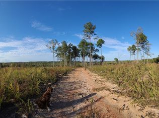 165 Slumber Dr, Waterloo, SC 29384