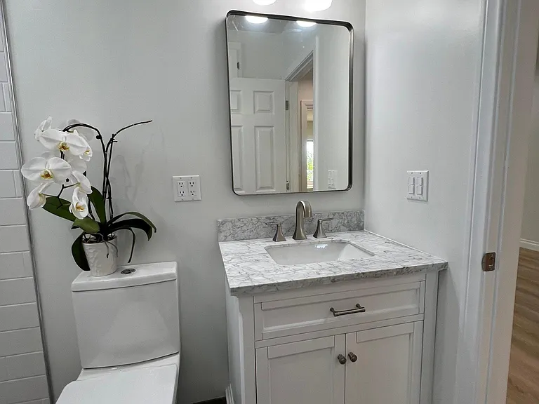 Vanity and Mirror.