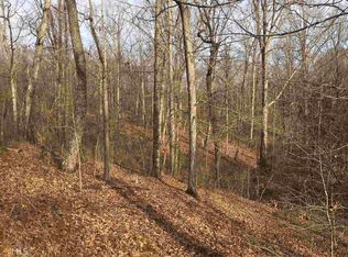 0 SW Buttermilk Rd, Cave Spring, GA 30124