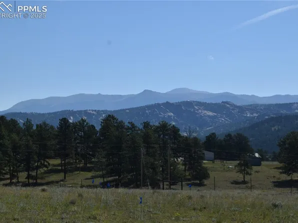 431 High Chateau Rd, Florissant, CO 80816