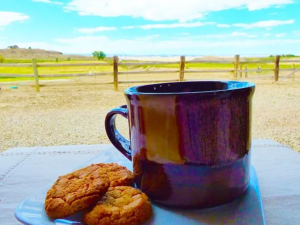 12520 Pendleton Ln, Delta, CO 81416