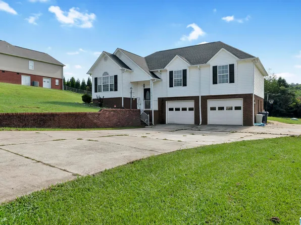 908 Ransome Dr, Oneonta, AL 35121