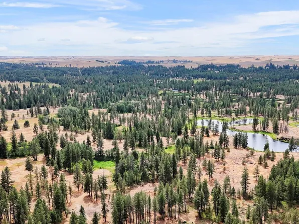 Nka S Stangland Rd, Medical Lake, WA 99022