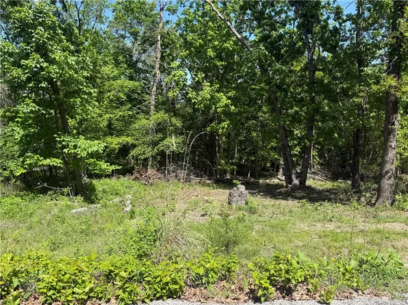 36 Venus Ave #12, Eureka Springs, AR 72631