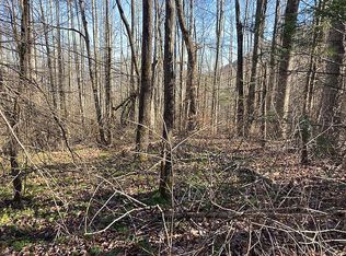 Rockmont Rd, Waynesville, NC 28785