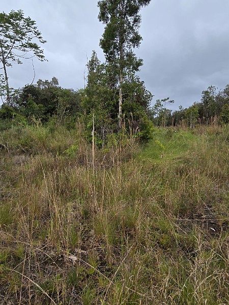 2nd image of Huina Rd Lot 6
