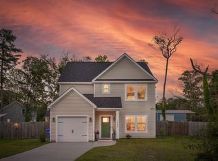 1989 Nitsa St, Johns Island, SC 29455