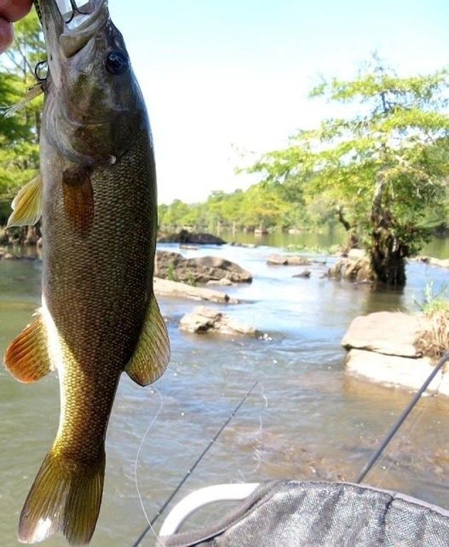 116 Sunfish Bay Ln, Eagletown, OK 74734 MLS 1128177 Zillow