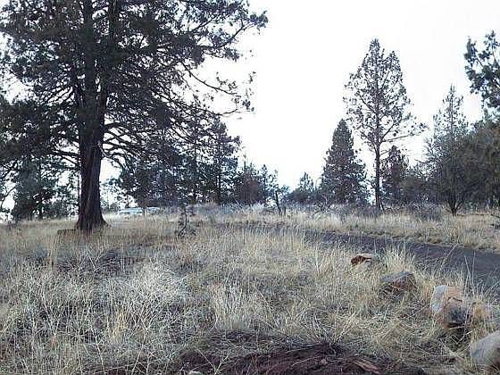 1st image of 12130 Wildhorse Dr