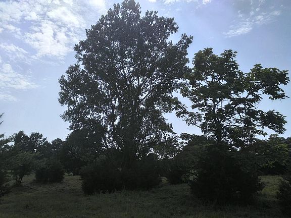 3rd image of 9212 Arrowhead Ln