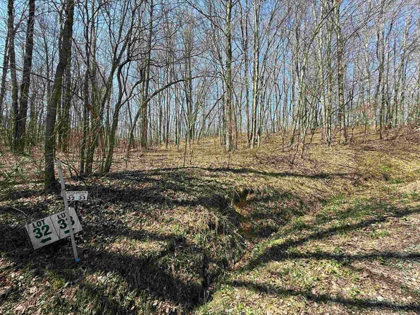 Silver Oak Ln, Belington, WV 26250