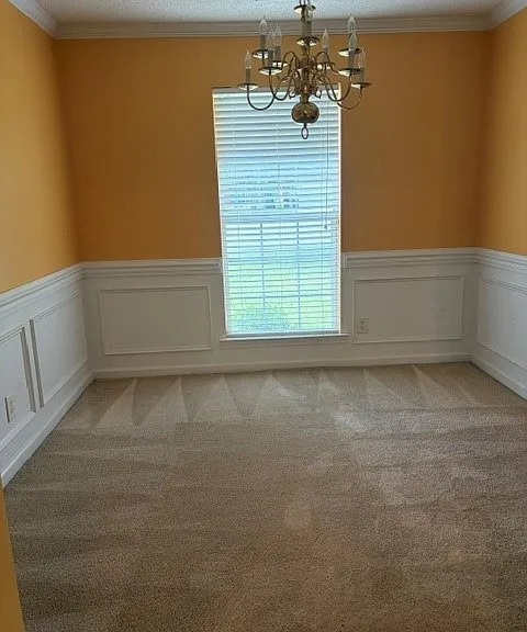3 Pan Ct — Photo 2