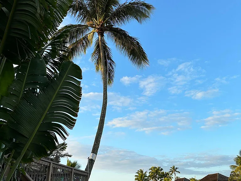 6370 Hawaii Kai Dr #35 — Photo 9