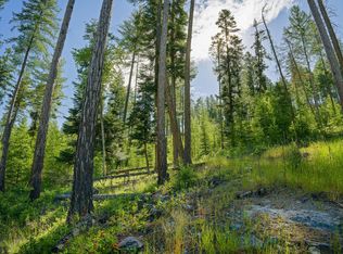 234 Trading Post Trl, Bigfork, MT 59911