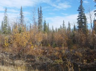 L29 B4 Willow, Copper Center, AK 99573