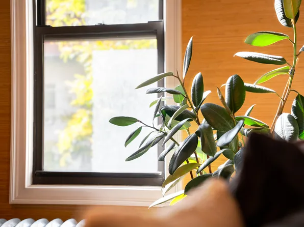 321 West 55th Street image 8 of 12