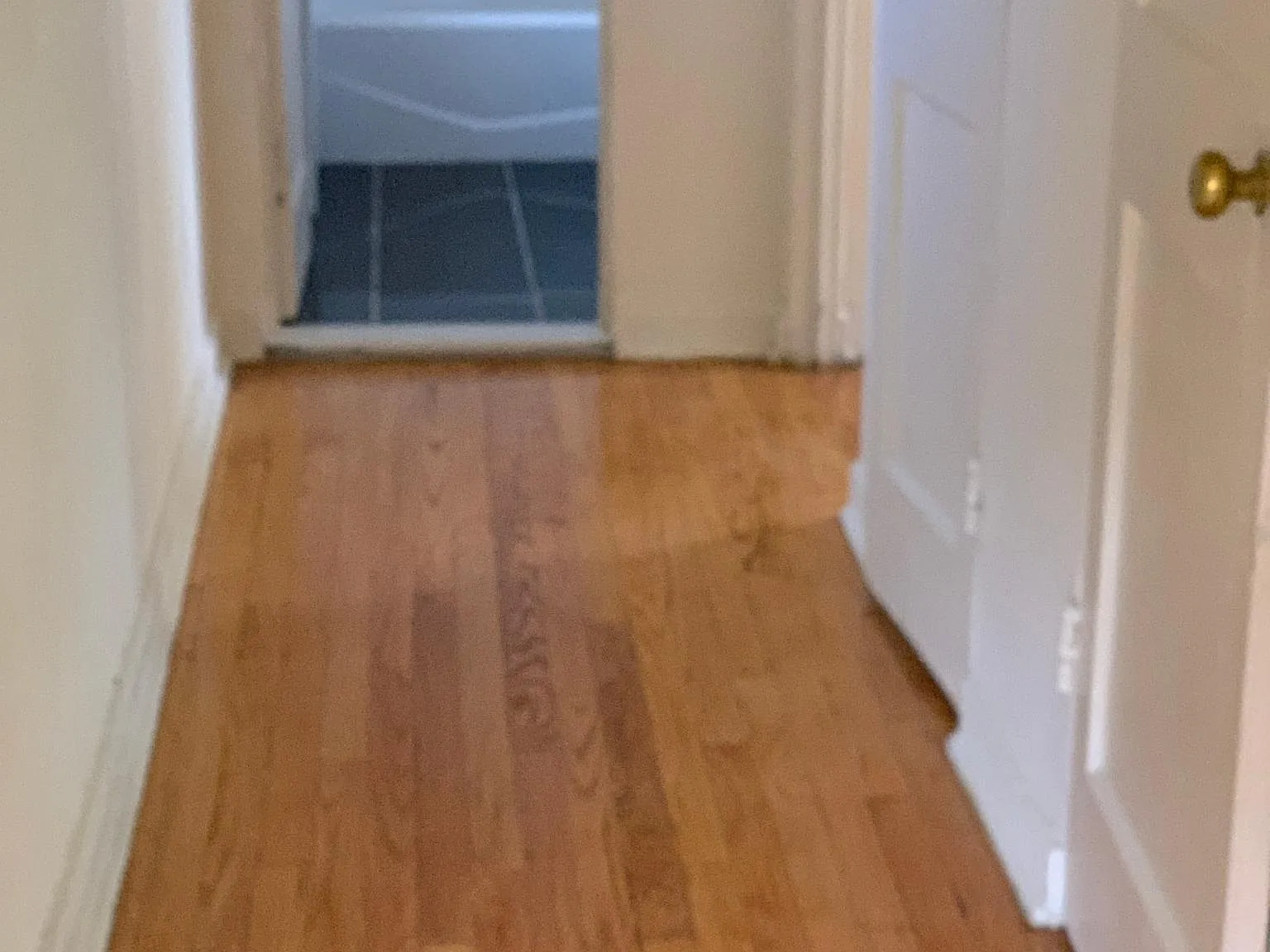 1 bed, 625 sqft, $1,850 — Photo 4
