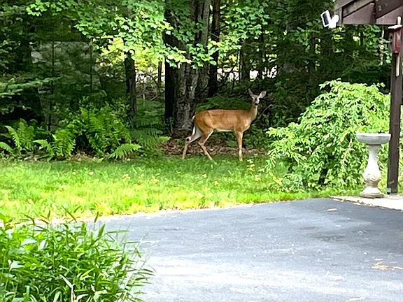 5th image of 1523 North Road