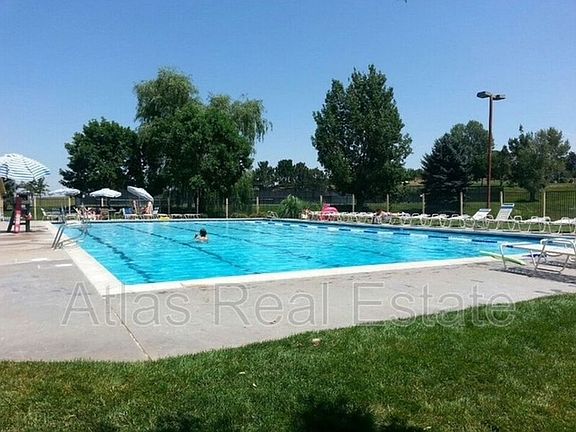 Beautiful swimming pool