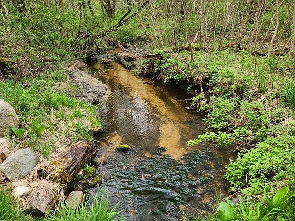 2nd image of Sugar Creek Lot 36 Dr