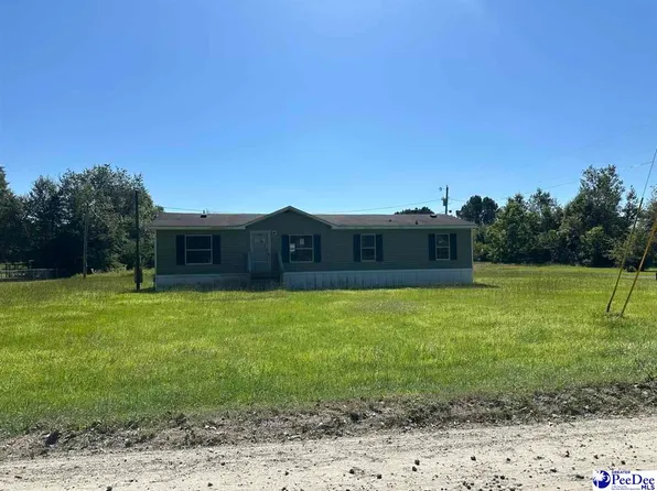 504 Circle Dr, Johnsonville, SC 29555